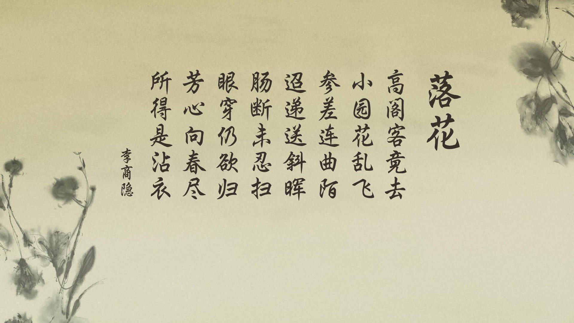 全国女排联赛，巾帼英豪争夺荣耀，全国女排联赛百科