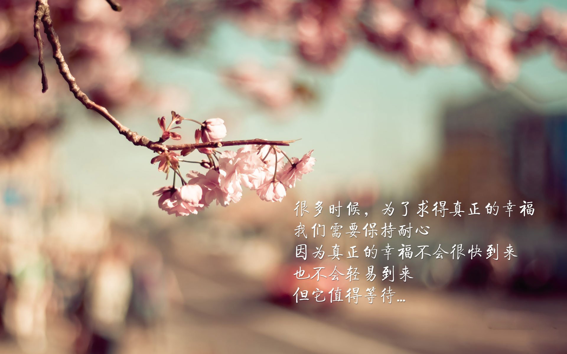 凯撒酋长中场核心伤愈复出，助力球队冲击冠军，凯撒hmo