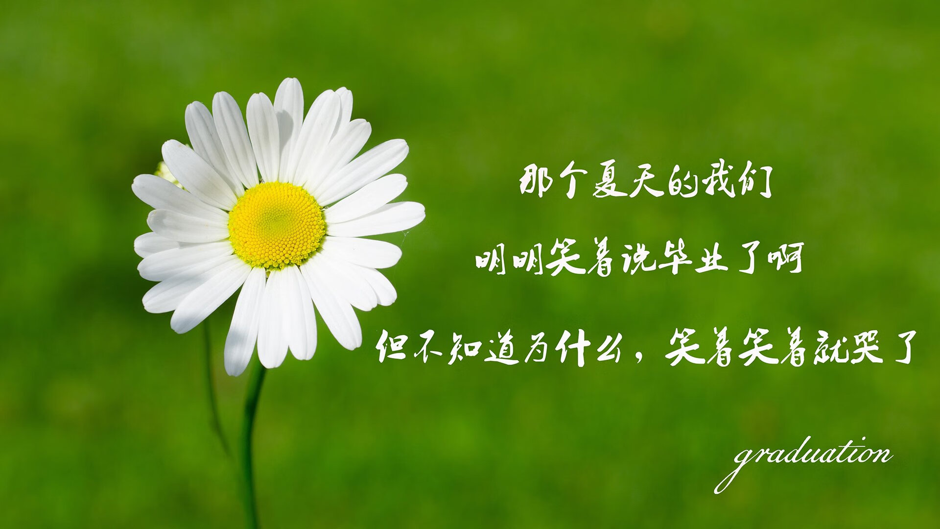 墨西哥队在巴黎奥运会比赛中多次利用边路进攻，墨西哥奥运会足球战绩