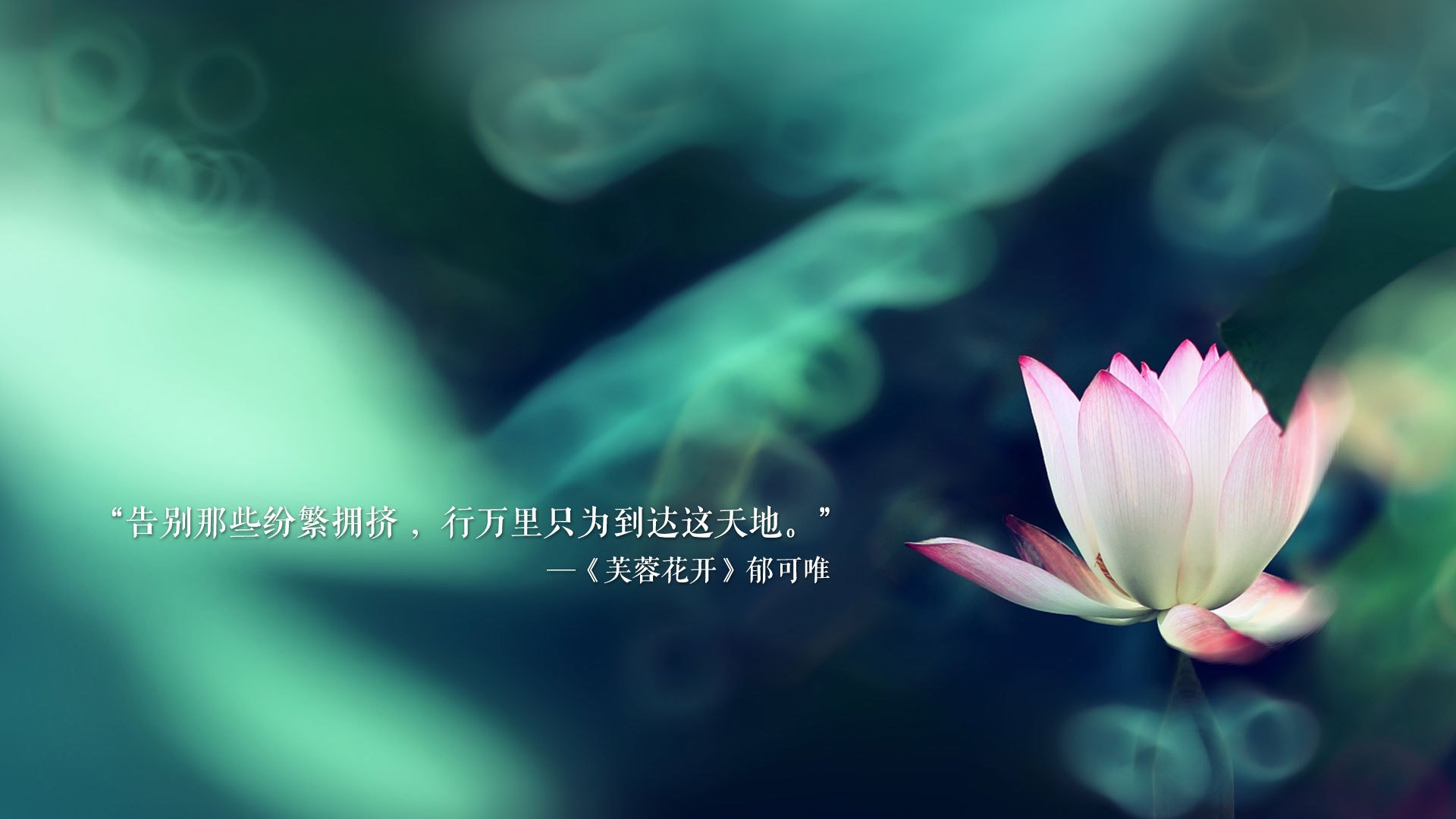 是否应加大对毒品使用的检测频率，禁毒法规定,什么应当加强对邮件的检查