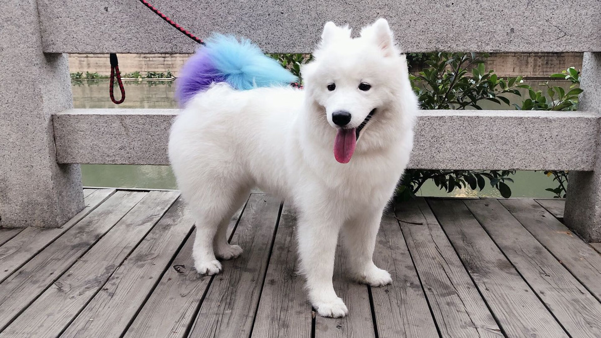 新疆男篮边线战术多样化提升进攻效率，新疆男篮好消息