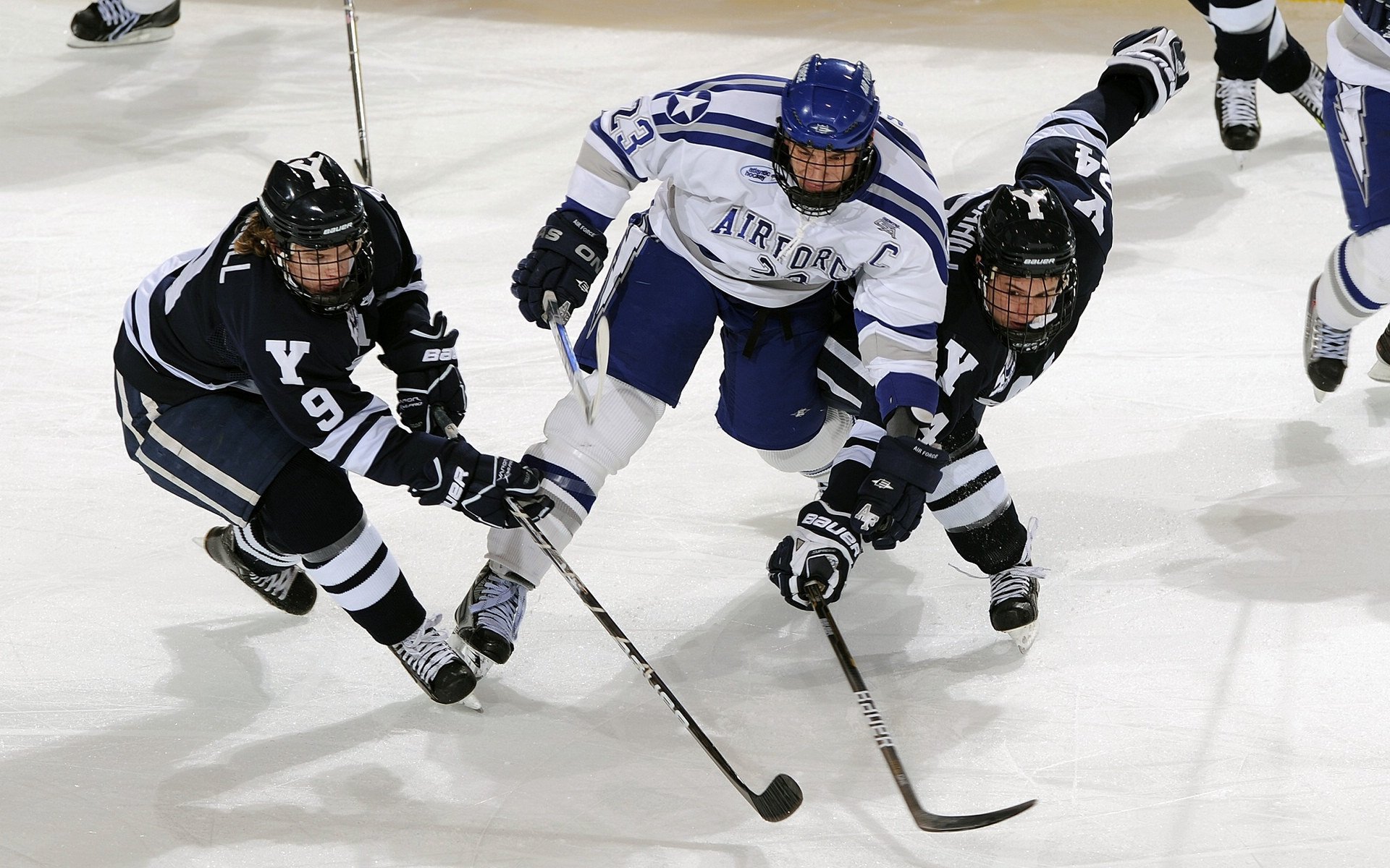 海湾者青年才俊或成比赛黑马,海湾集团创始人是谁