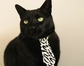 体育新闻中心赛场纪律观察，体育新闻赛况