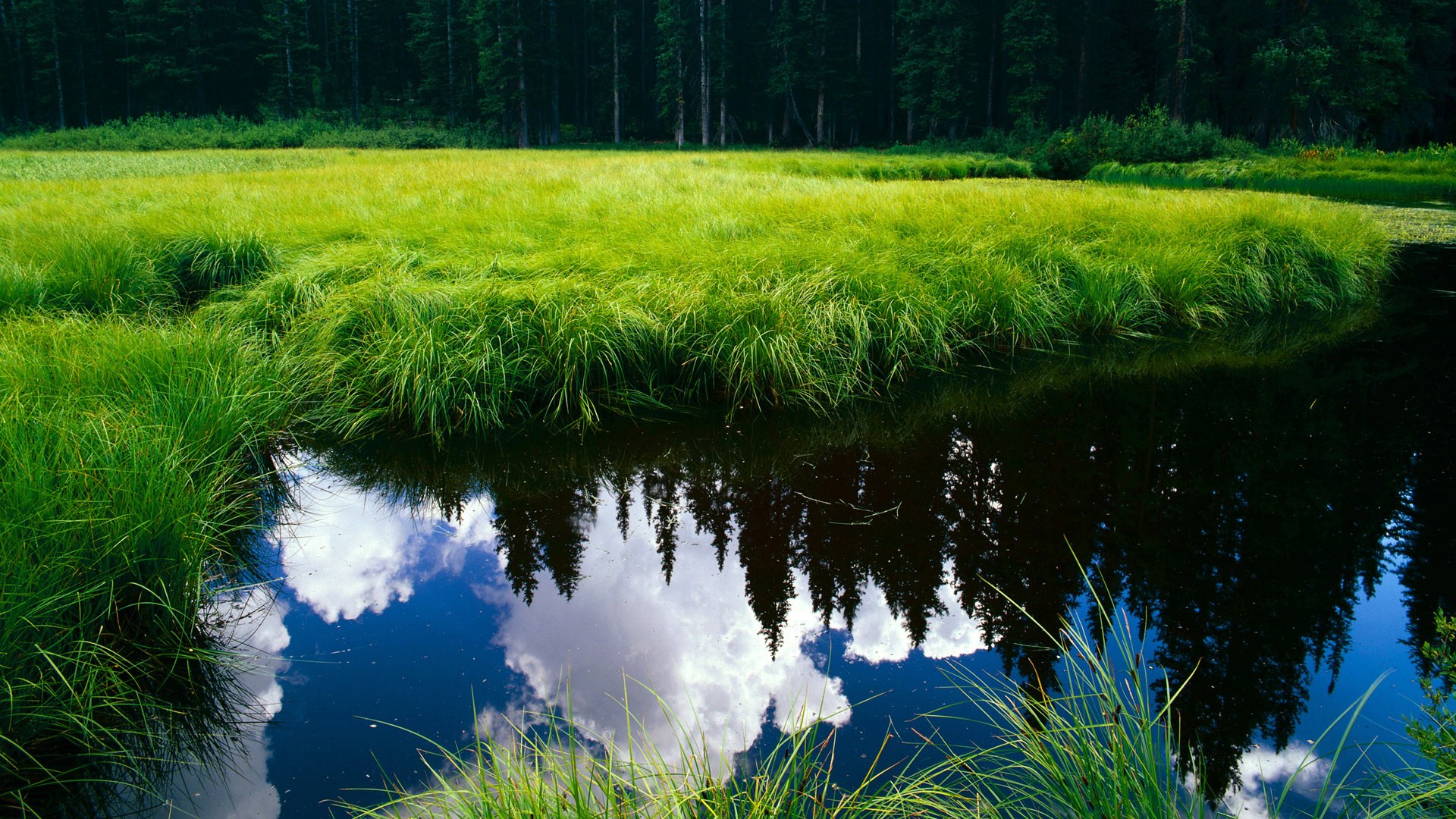 体育社群建设推动本地赛事发展,体育社群运营