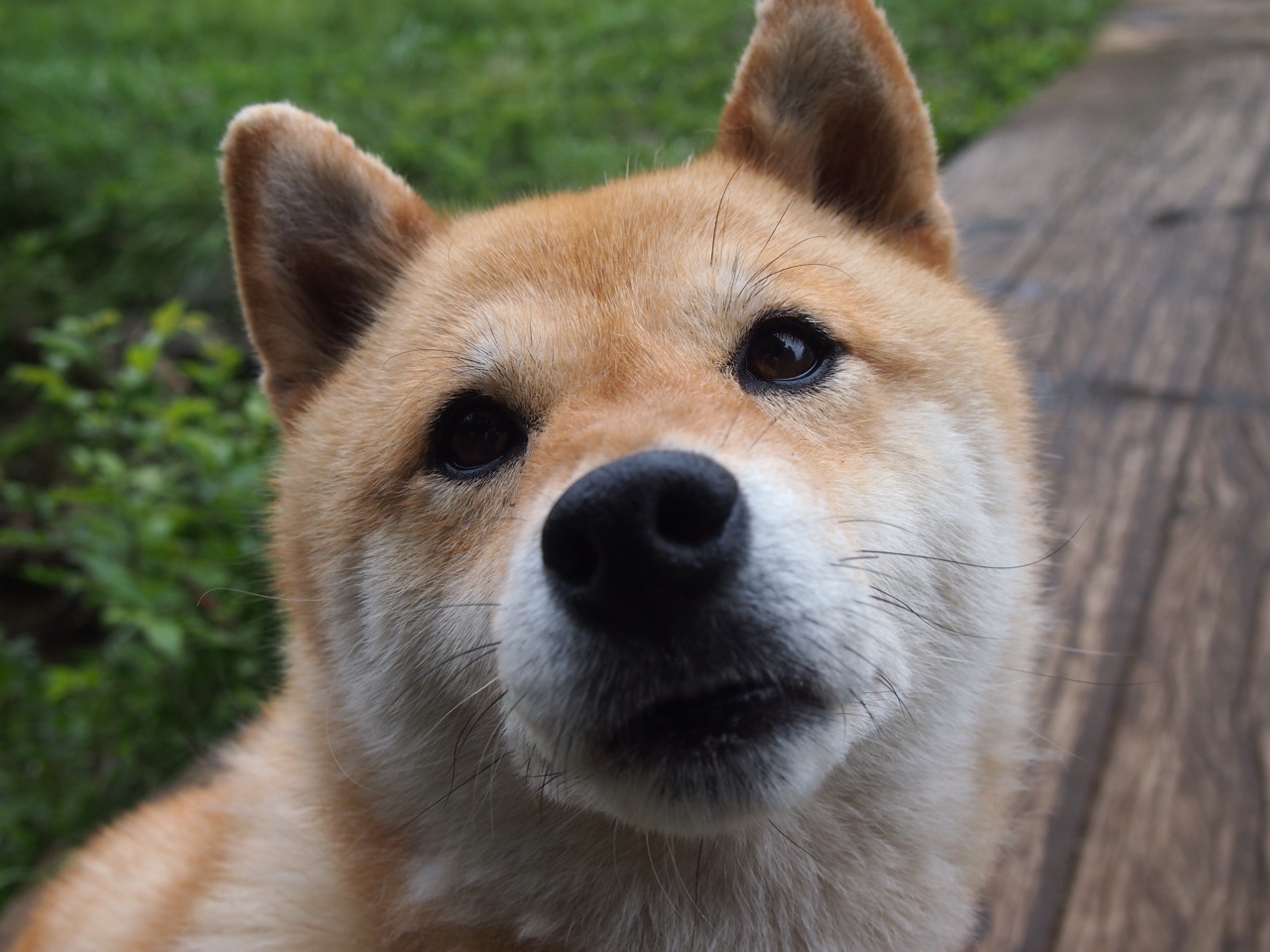 卡斯帕·科尔博泳池内外均实现突破，卡斯帕尔职业