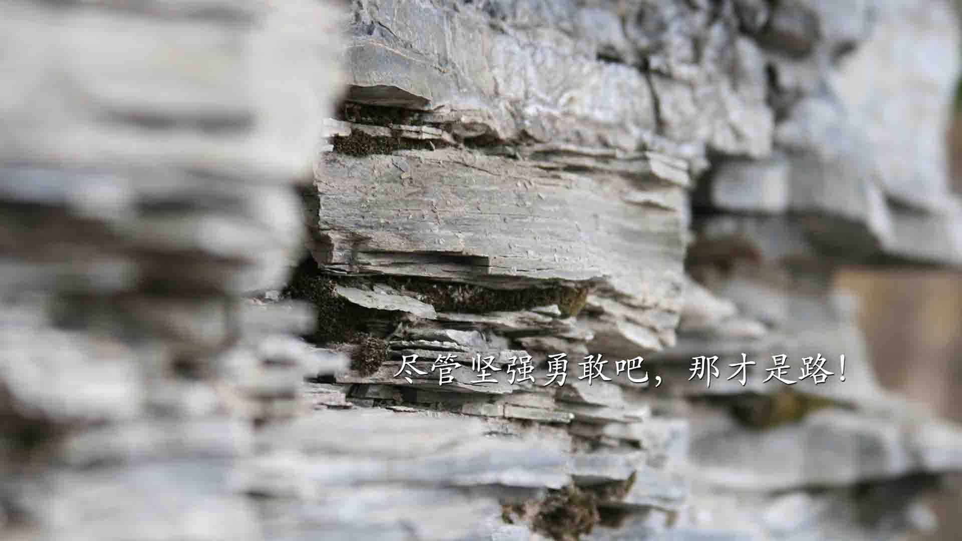 托里·哈斯克女子100米自由泳赛场新星