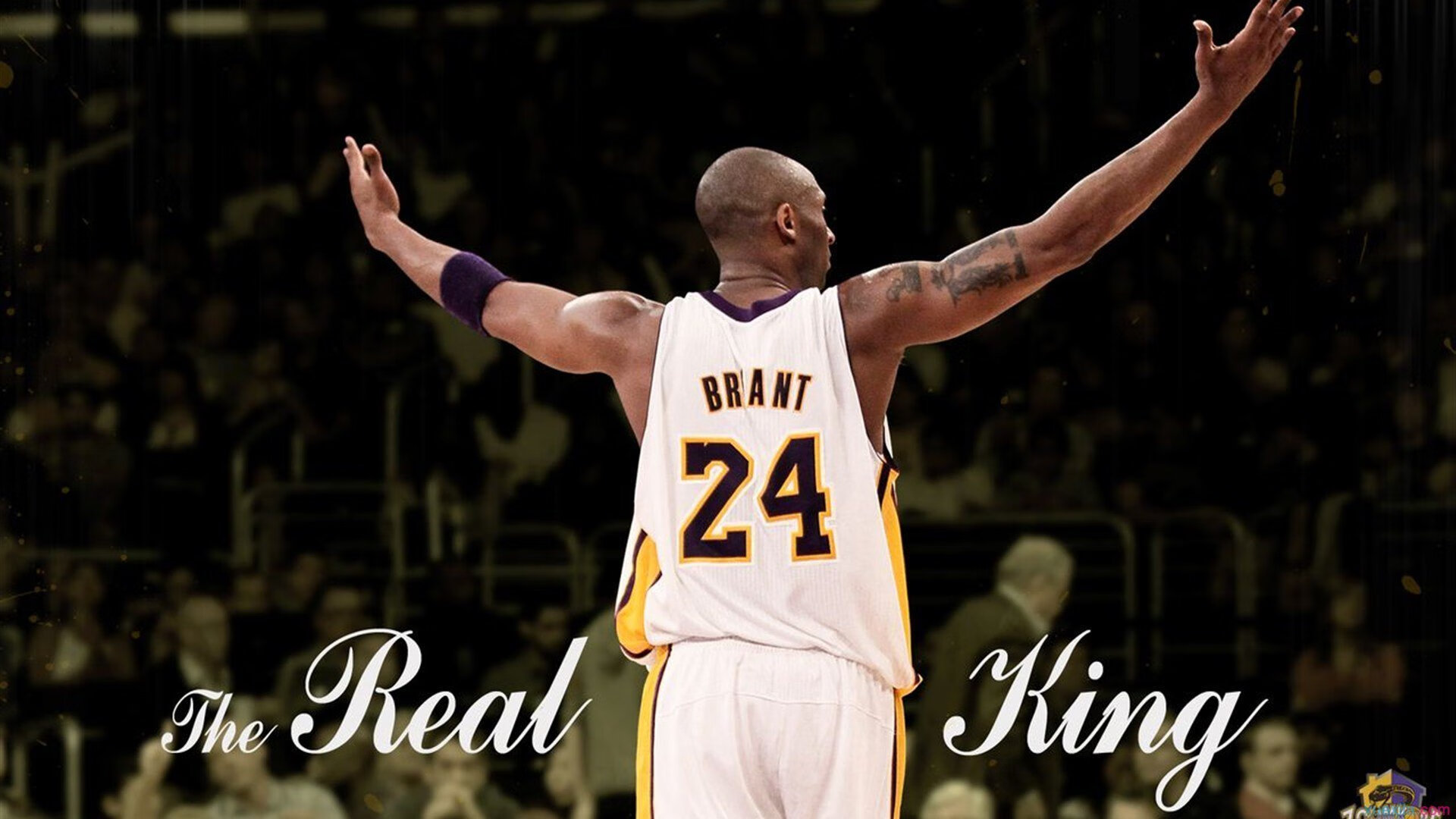 关键时刻，他稳如老狗的罚球，多次救队于水火之中！