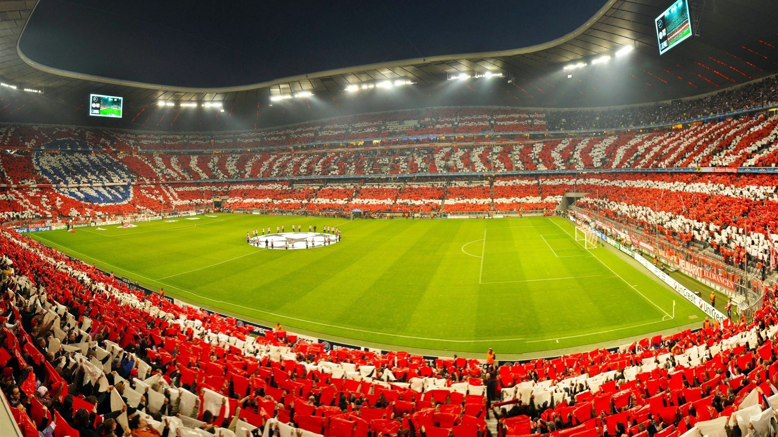 开云网站-绿色长跑：环保与健康的结合，绿色长跑活动